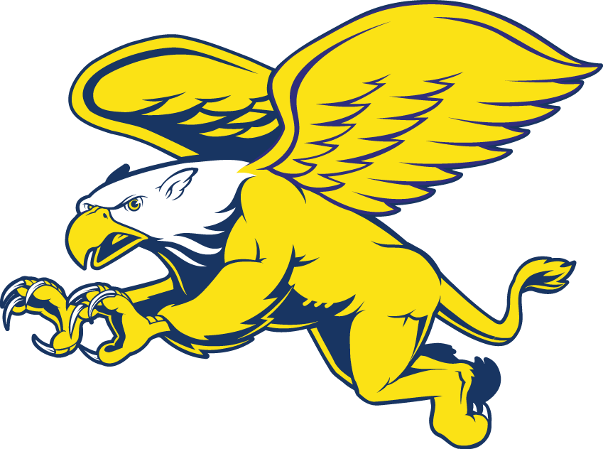 Canisius Golden Griffins 1999-2005 Secondary Logo diy fabric transfer